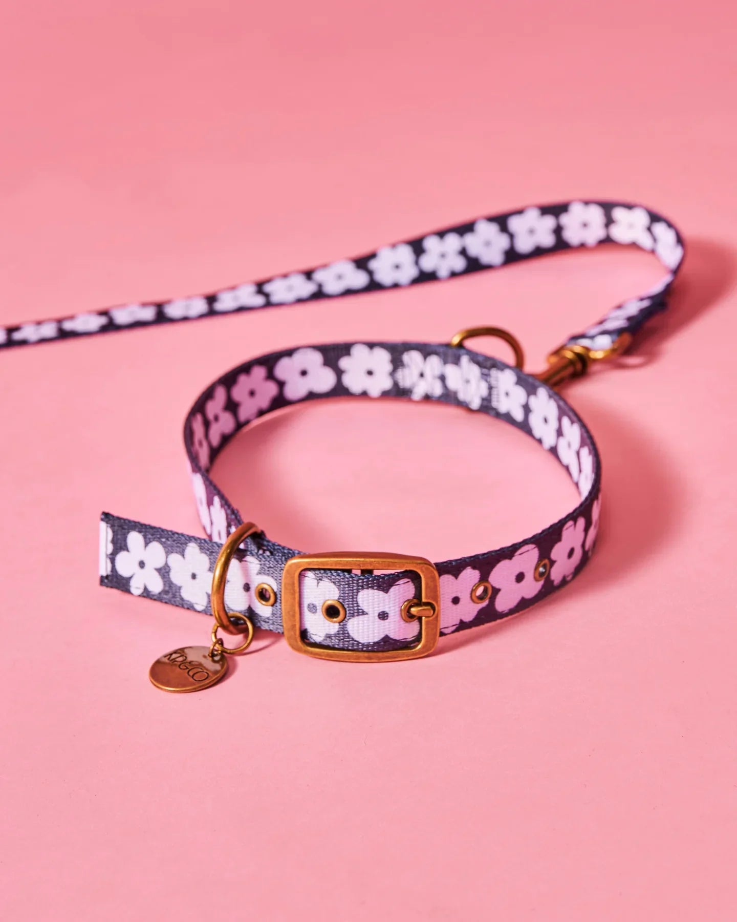 Collars & Leads