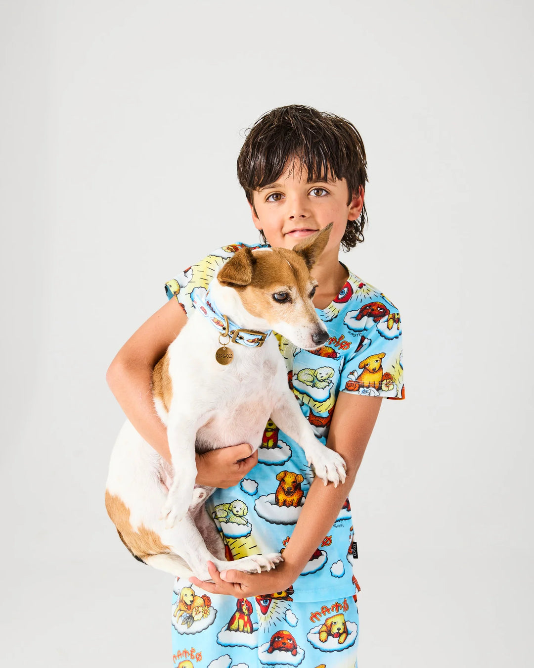 Kip & Co x Mambo Puppies Dog Collar