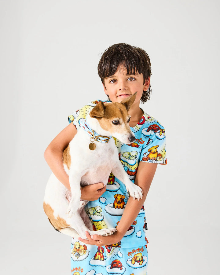 Kip & Co x Mambo Puppies Dog Collar
