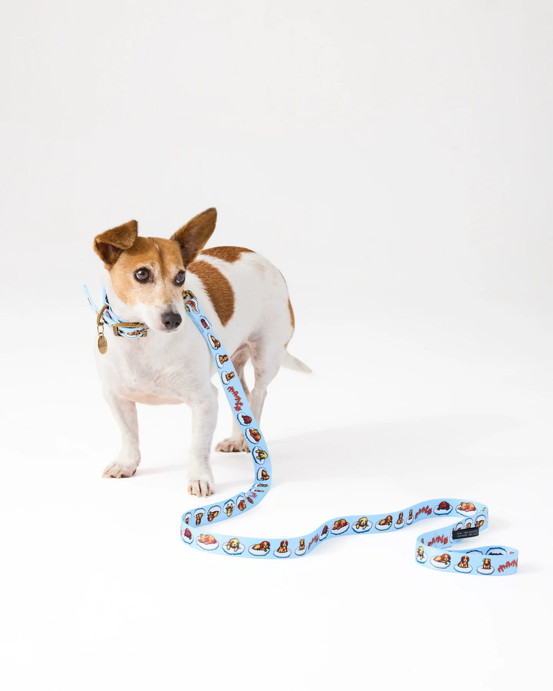 Kip & Co x Mambo Puppies Dog Lead