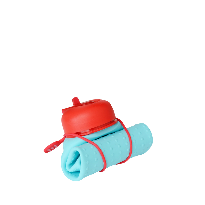 Rolla Bottle - Aquamarine, Red Lid + Ruby Strap