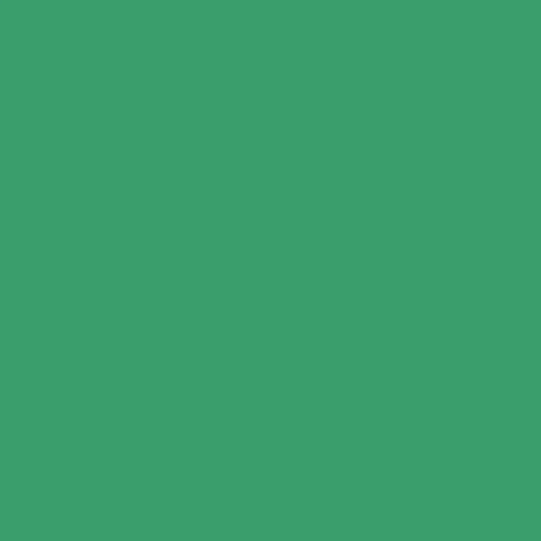 Project Ten Clear Zip Pouch Bundle – Green