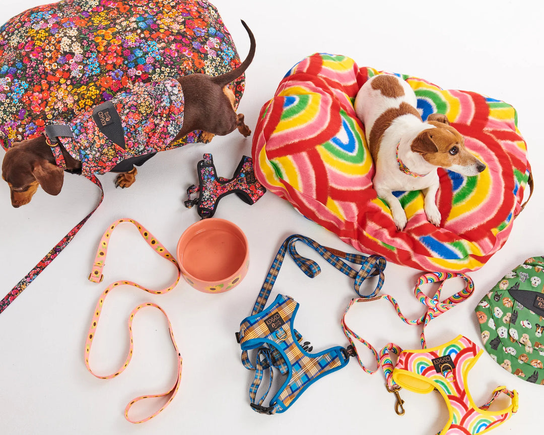 Kip & Co Forever Floral Black Dog Jacket