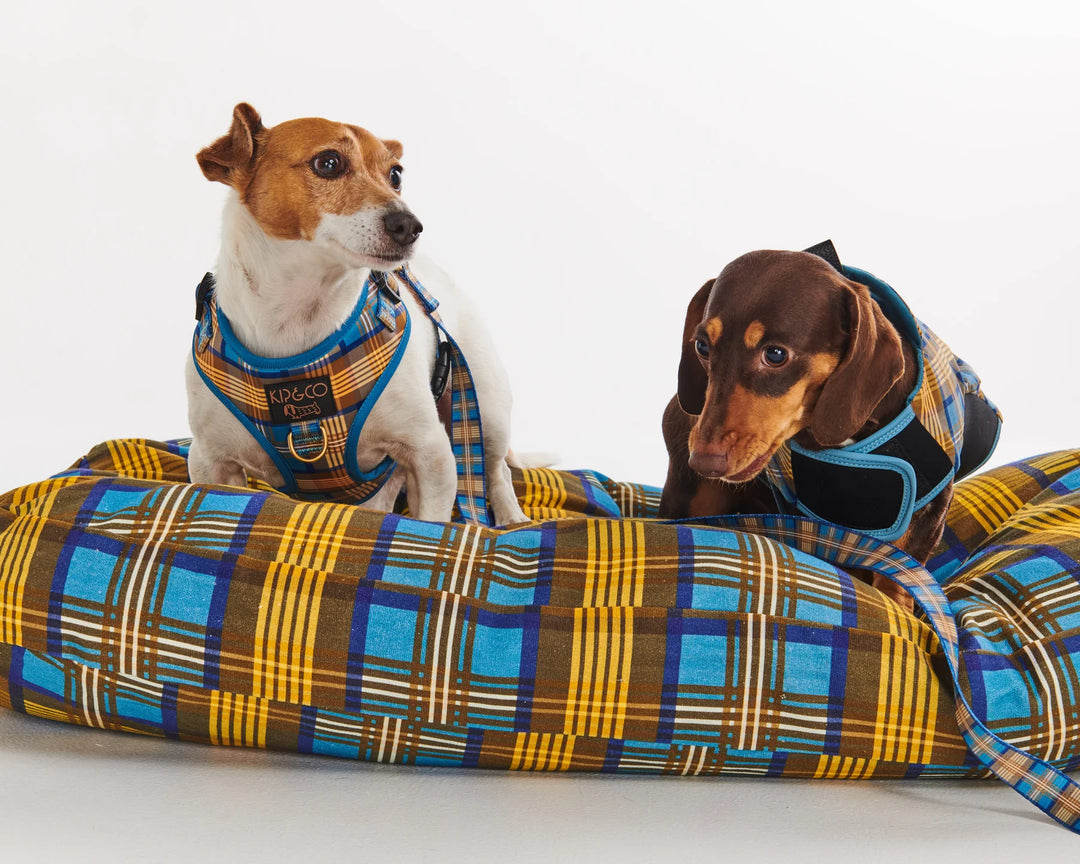 Kip & Co Cosy Tartan Dog Jacket