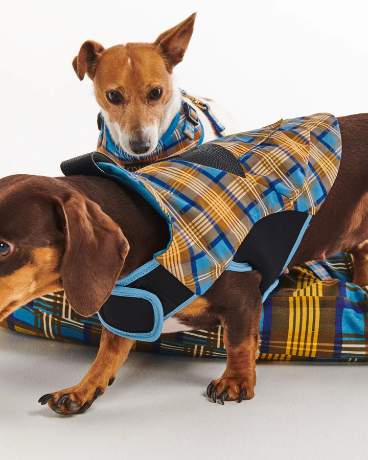 Kip & Co Cosy Tartan Dog Jacket