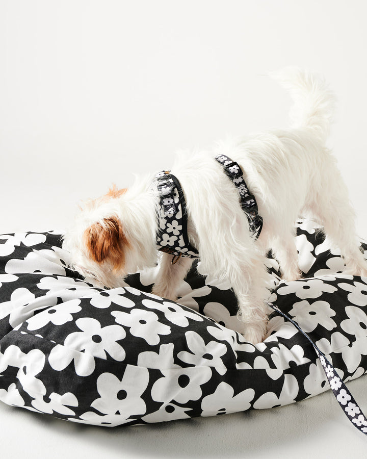Kip & Co Flower Face Dog Bed
