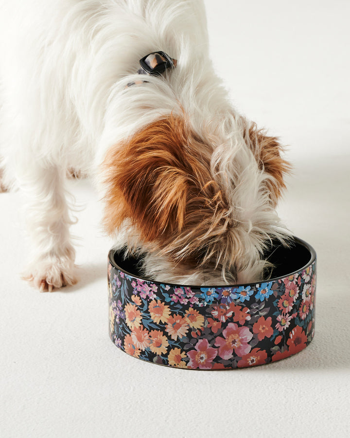 Kip & Co Forever Floral Black Dog Bowl