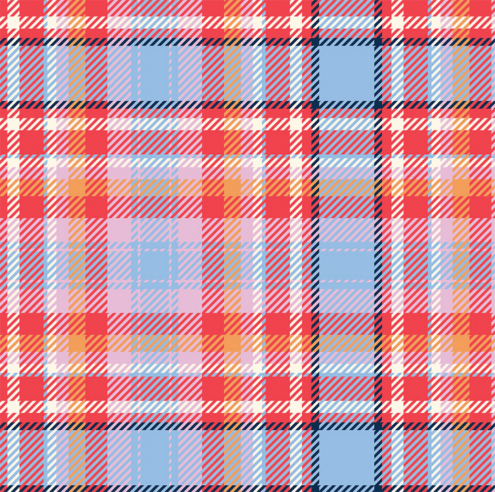 Project Ten Wine Bag - Tartan