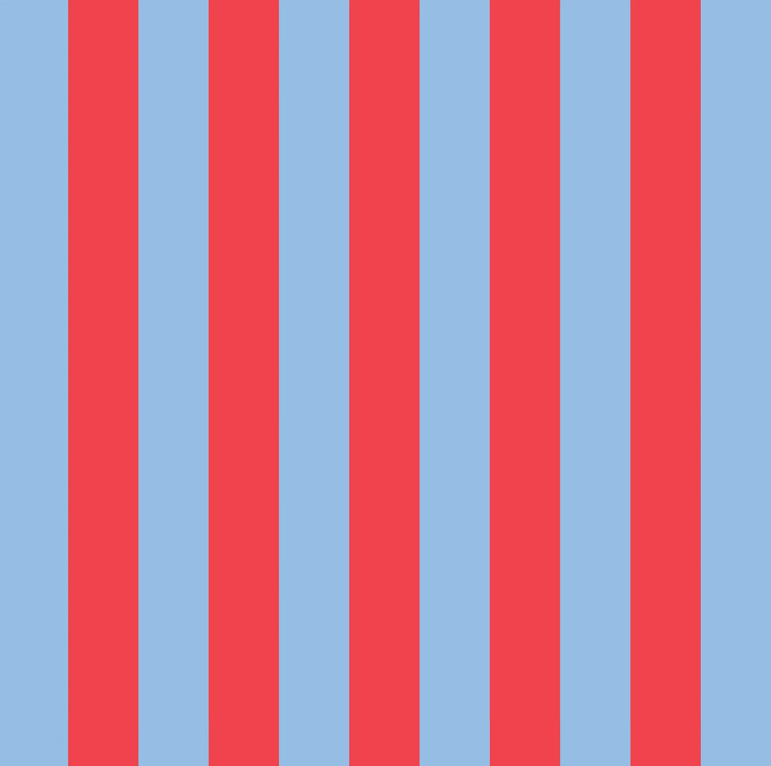 Project Ten Tiny Pouch - Red Blue Stripe