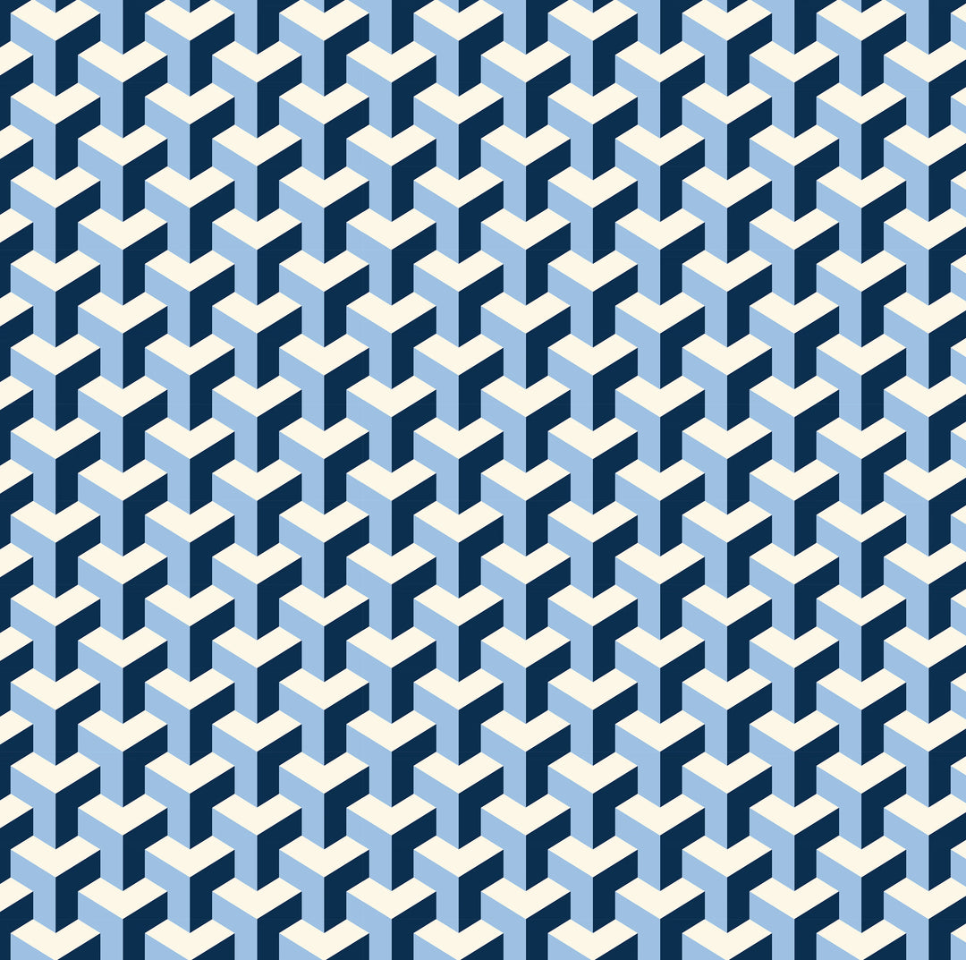 Project Ten Shopper - Maze