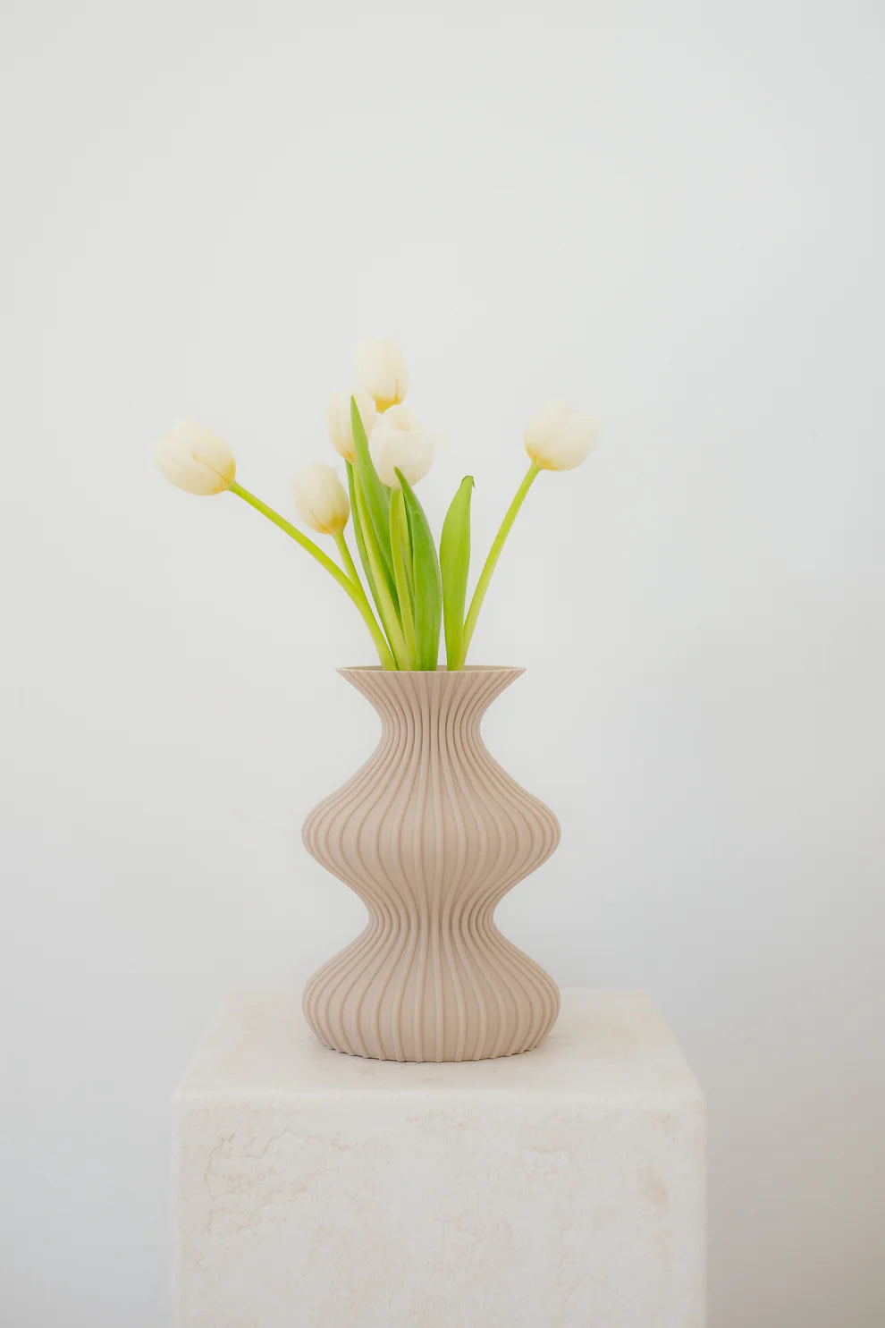 Printing Potters Illusion Vase