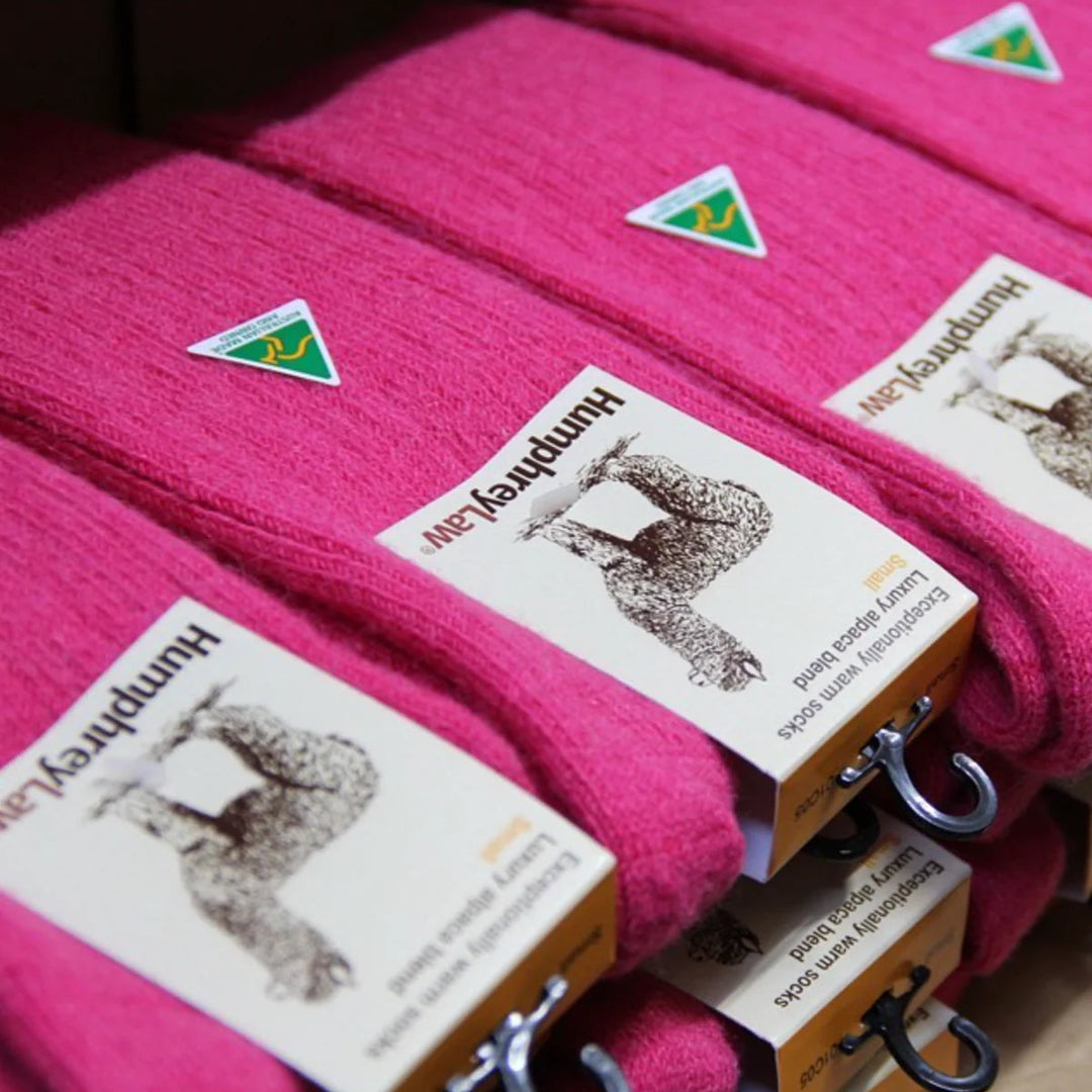 Humphrey Law Alpaca Health Socks - Fuchsia