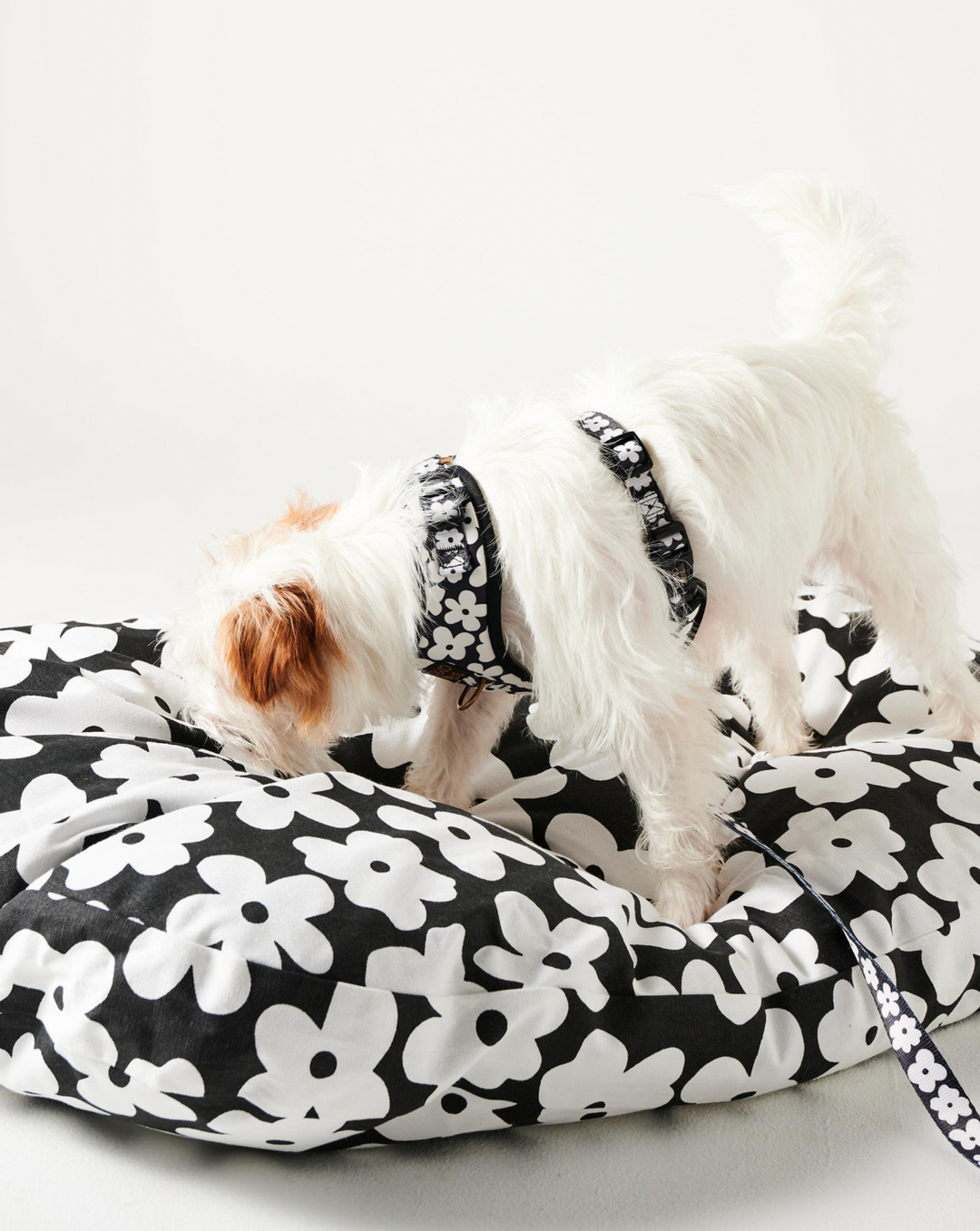Kip & Co Flower Face Dog Lead