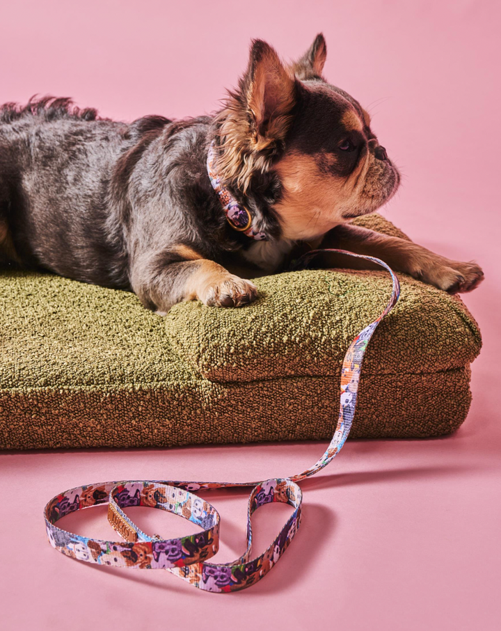 Kip & Co Fred Boucle Dog Bed