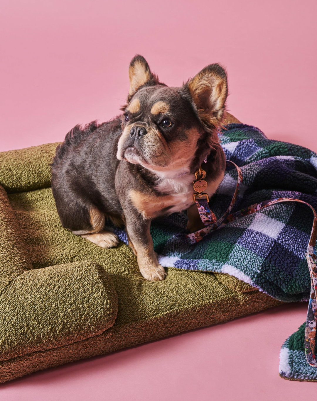 Kip & Co Fred Boucle Sherpa Dog Blanket