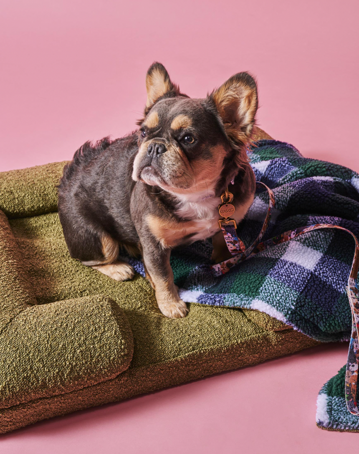 Kip & Co Fred Boucle Sherpa Dog Blanket