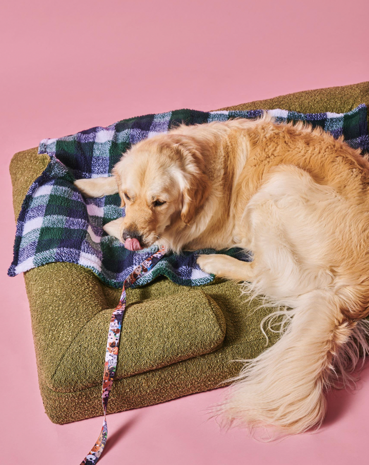 Kip & Co Fred Boucle Sherpa Dog Blanket
