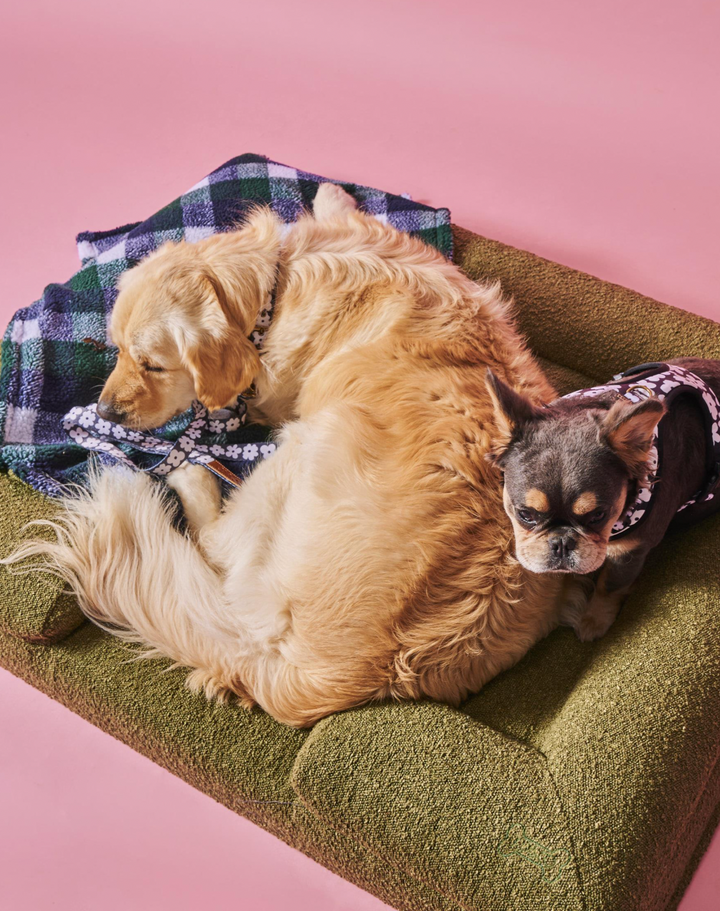 Kip & Co Fred Boucle Sherpa Dog Blanket