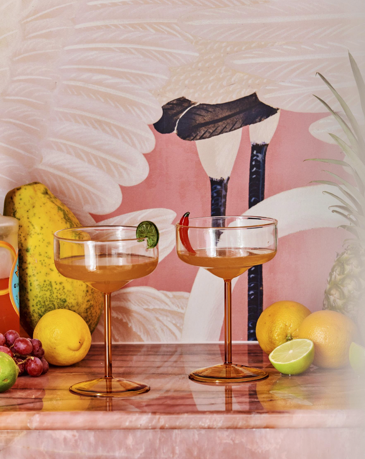Kip & Co Amigo Margarita Glass Set