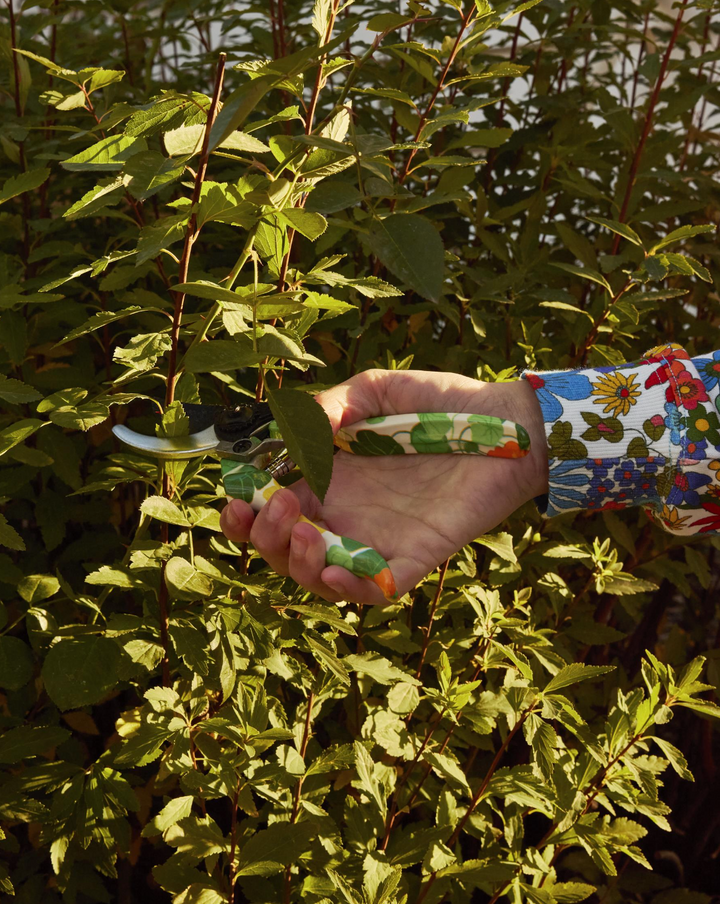 Kip & Co Nasturtium Garden Secateurs and Gloves Set