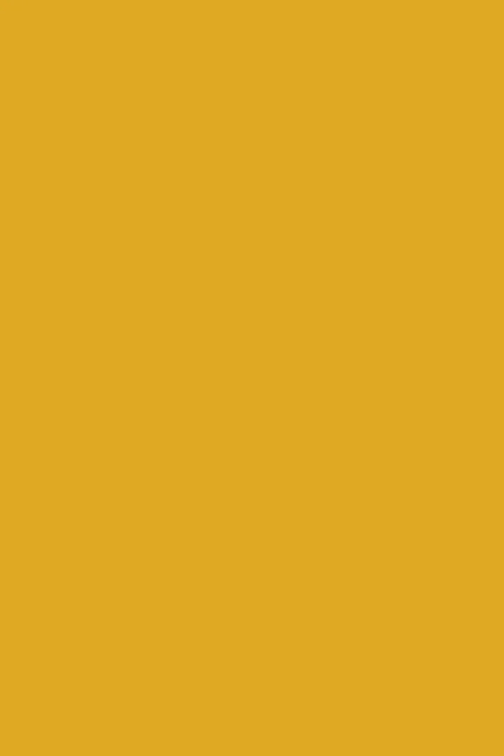 Mustard Made The Standard - Mustard