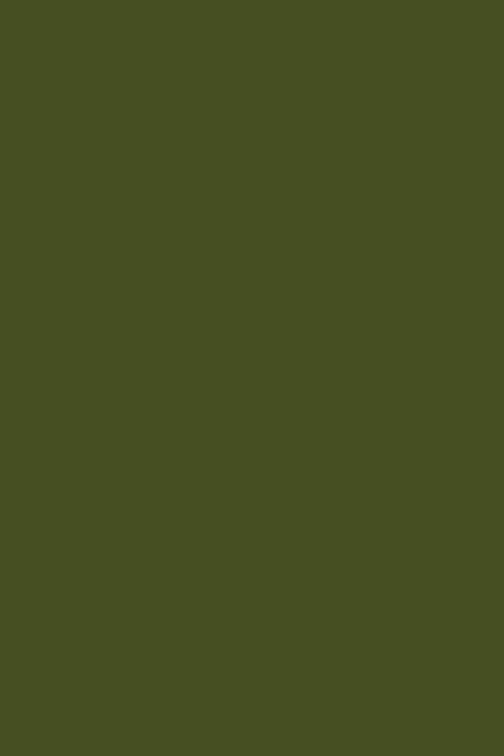 Mustard Made The Standard - Olive