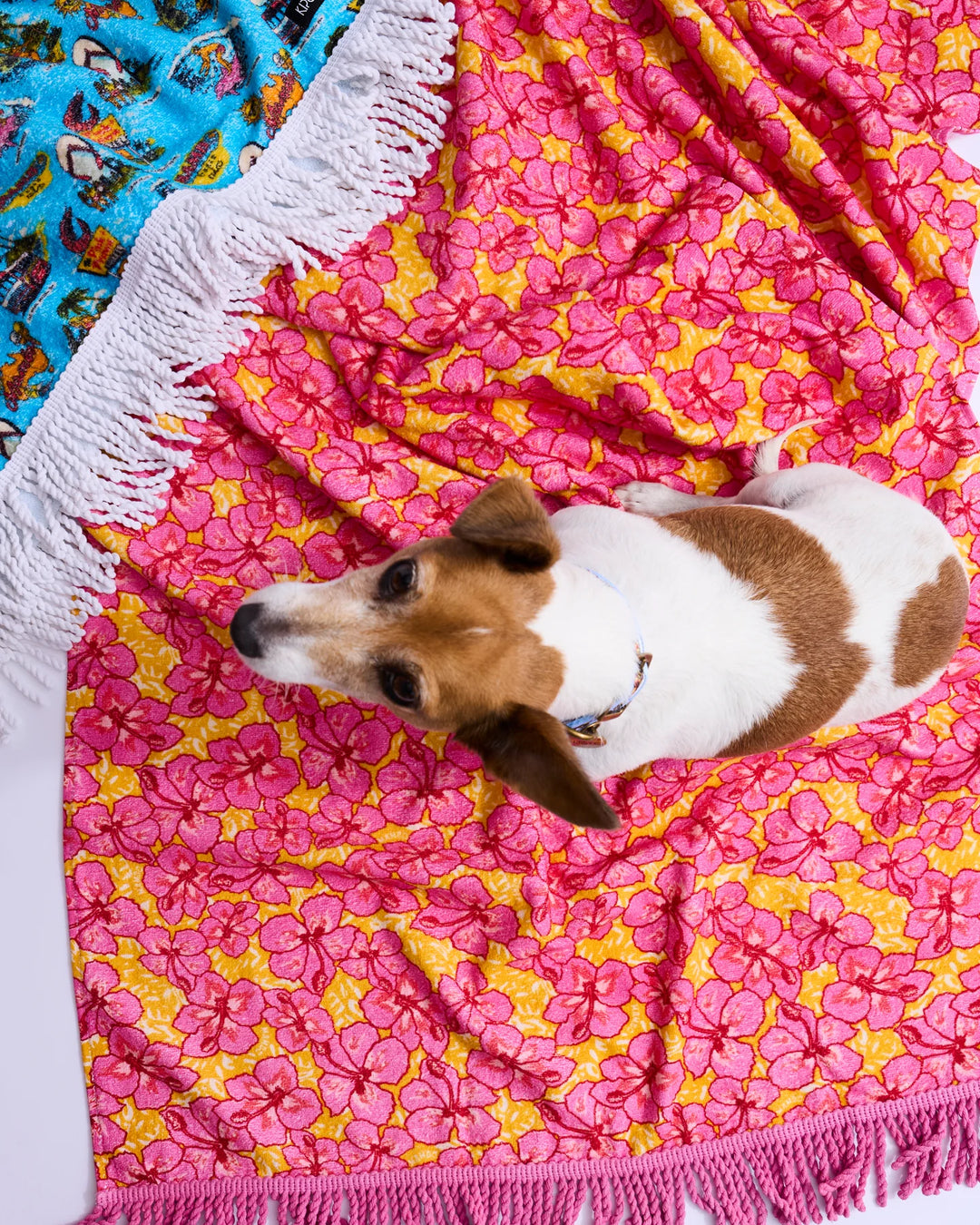 Kip & Co x Mambo Funshine Coast Printed Terry Beach Towel