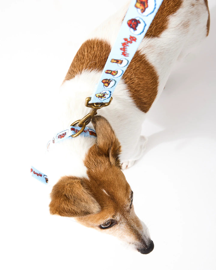 Kip & Co x Mambo Puppies Dog Lead