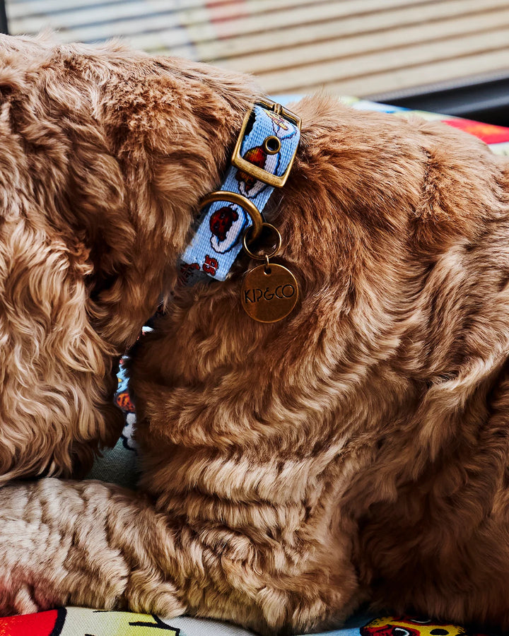 Kip & Co x Mambo Puppies Dog Collar