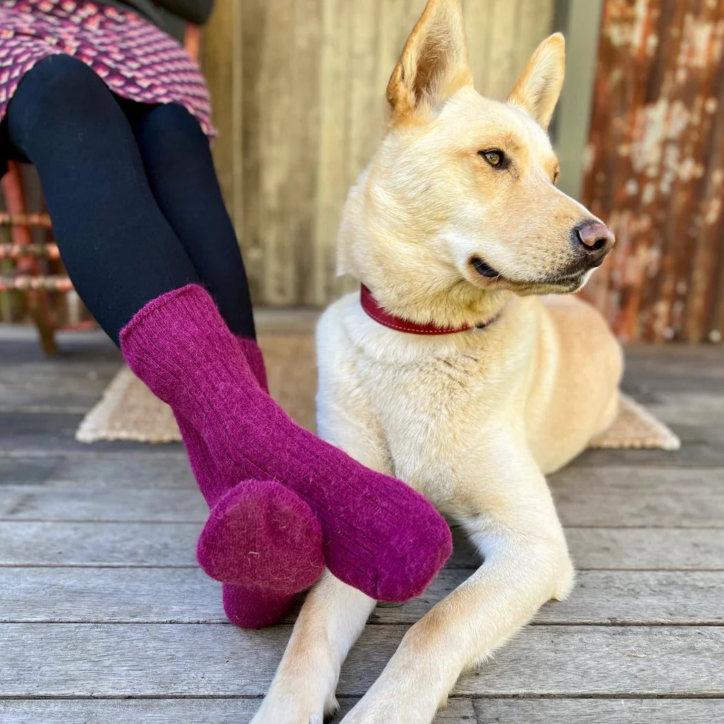 Humphrey Law Alpaca Health Socks - Berry