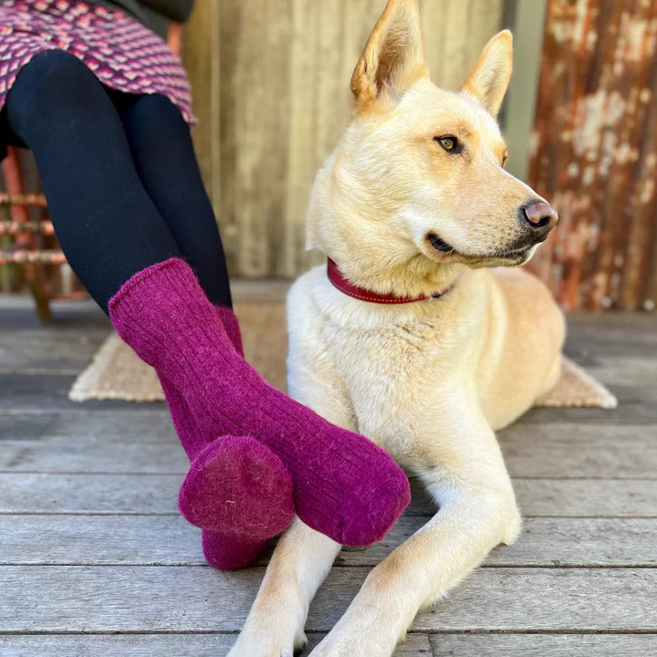 Humphrey Law Alpaca Health Socks - Berry