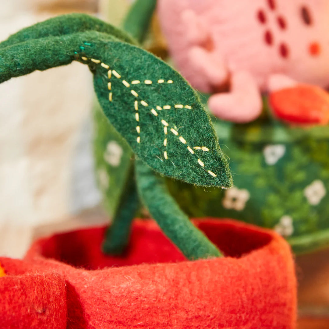 Sage x Clare Rosella Felt Basket
